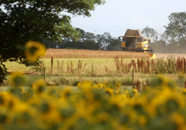 combine harvester 196