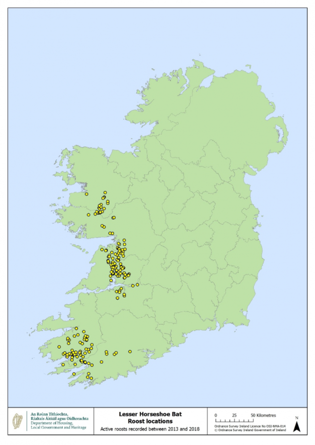 Lesser Horsehoe Bat map