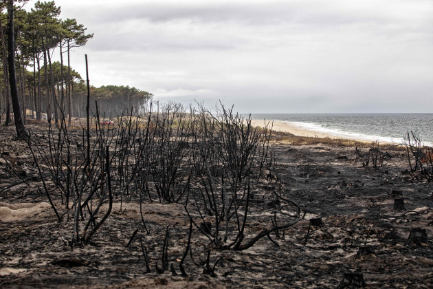 gironde-wildfires-aftermath