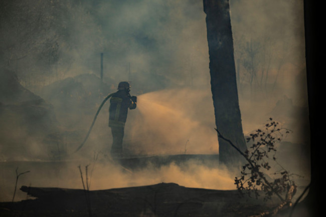 raunheim-germany-23rd-aug-2022-firefighters-fight-a-forest-fire-near-raunheim-the-fire-had-broken-out-for-as-yet-unknown-reasons-credit-boris-roesslerdpaalamy-live-news