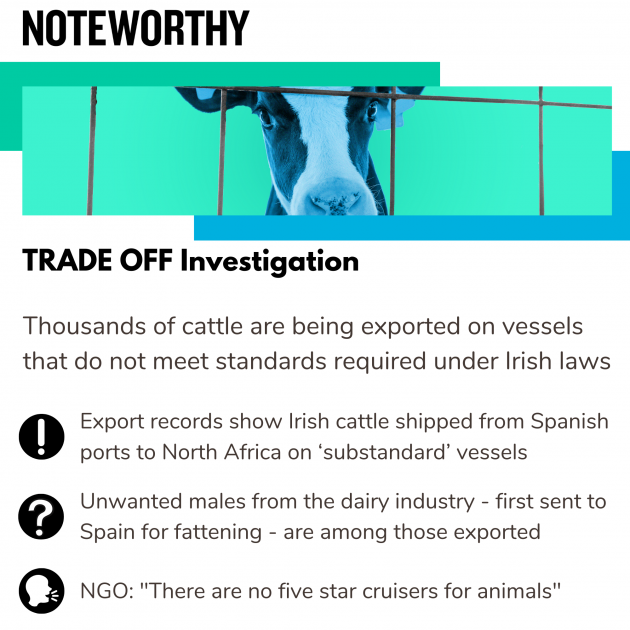 TRADE OFF Investigation Thousands of cattle are being exported on vessels that do not meet standards required under Irish laws Export records show Irish cattle shipped from Spanish ports to North Africa on ‘substandard’ vessels Unwanted males from the dairy industry - first sent to Spain for fattening - are among those exported NGO: 