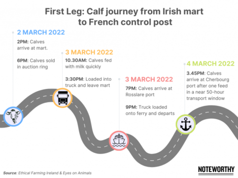 Brands – Time to Renew Registrations, and Brand the Calves