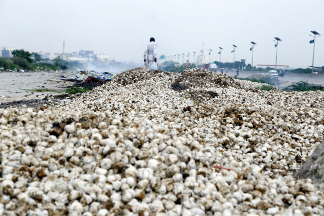 monsoon-rain-causes-flooding-in-pakistan