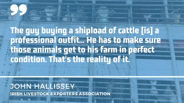 Background depicts cattle in a truck. Text overlay is a quote by John Hallisey - a key player in the live export market - The guy buying a shipload is a professional outfit. he has to make sure those animals get to his farm in perfect condition. That's the reality fo it. 
