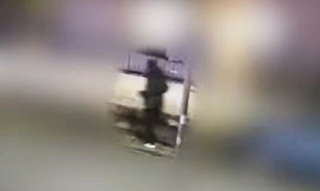 embedded268567055