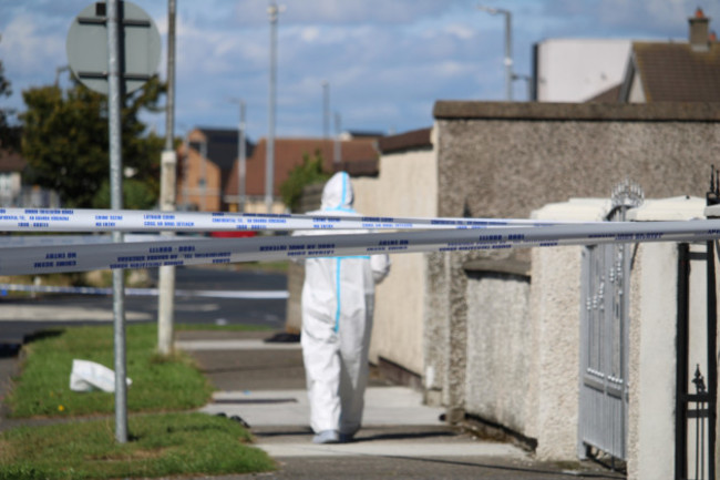 175Tallaght Murder Scenes