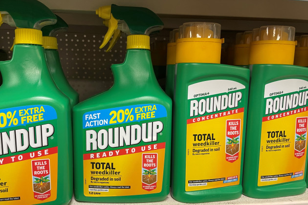 Green bottles of Roundup with yellow labels on a shop shelf.