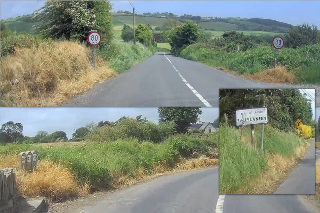 Three photos of yellow vegetation around signs on the side of the country roads.