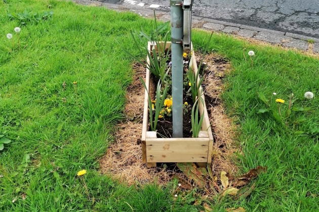 A wooden box around a sign post with shoots of flowers coming up inside. Treated grass that has turned yellow surrounds it.