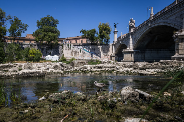 low-water-levels-in-river-tiber-in-rome
