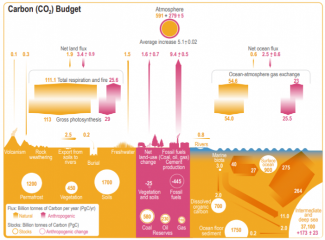 CO2 budget