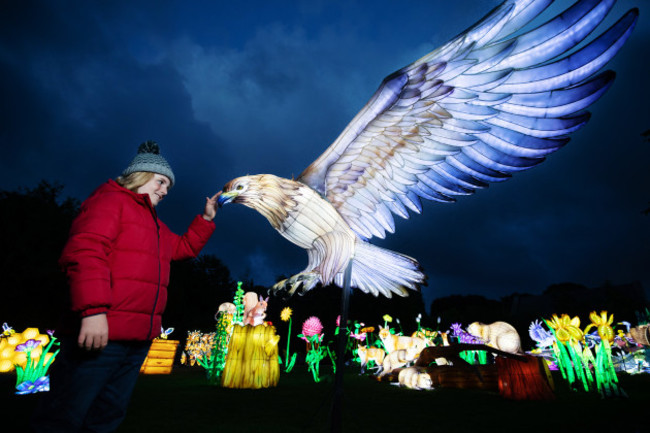 REPRO_FREE_DUBLIN_ZOO_WILDLIGHTS_01