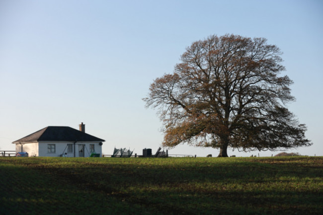 LITTLE HOUSE UNDER THE BIG TREE 2A9694_90664957