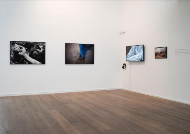 Screen Shot 2022-11-19 at 15.06.30