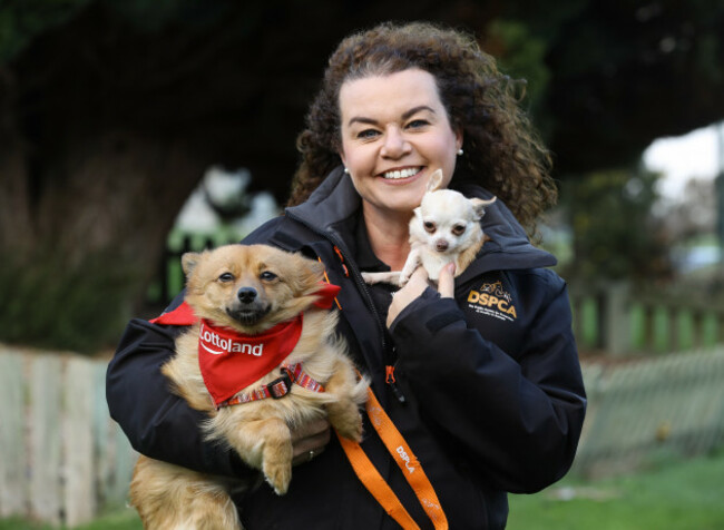 DSPCA call for more volunteers-05
