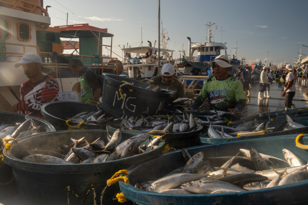 Workers with large buckets of fish moving them along the pier with fishing boats and other workers in the background.