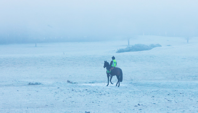 HORSES IN THE FOG  1L2A0944