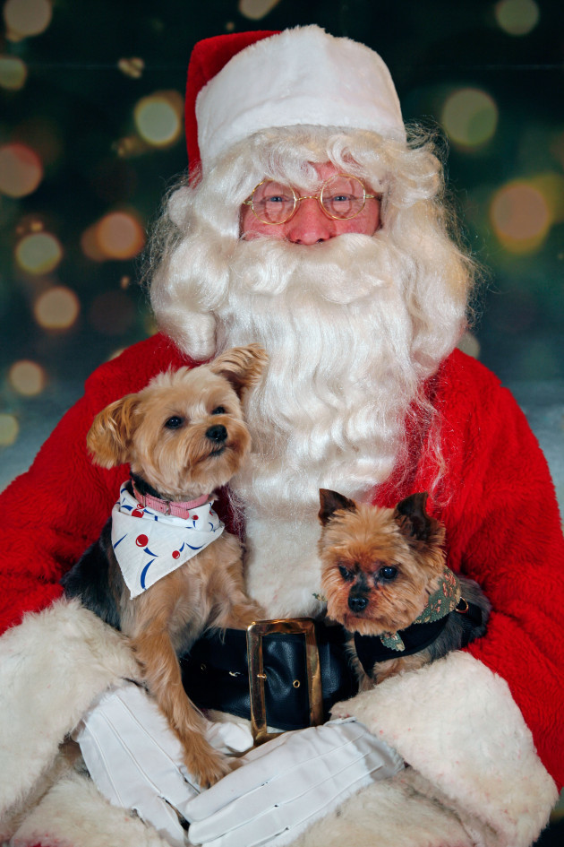 santa-claus-holding-a-pair-of-cute-dogs-at-christmas