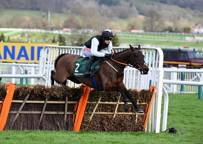 342Flooring Porter 03