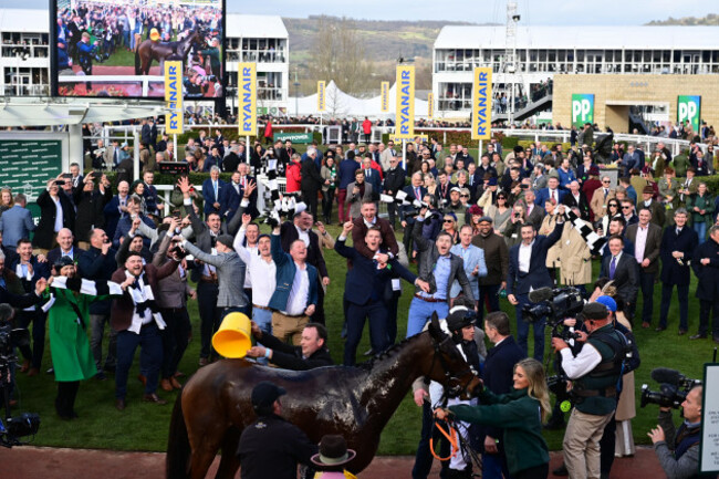 417Flooring Porter r89