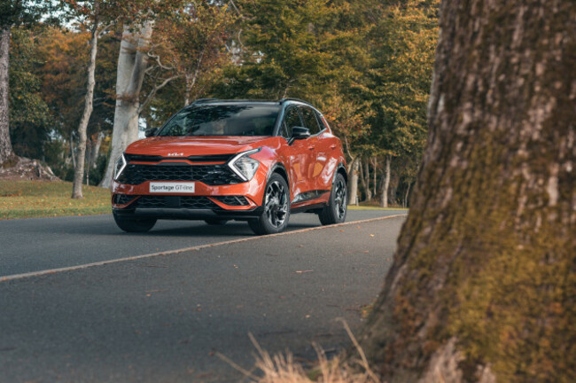 2021 Kia Sportage by Paddy McGrath-1