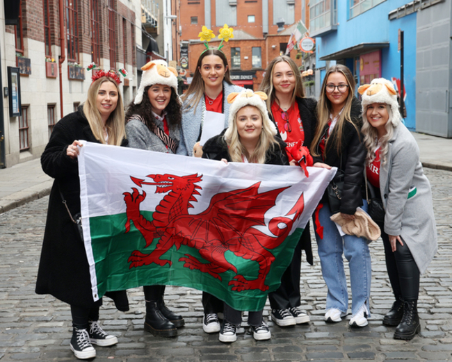 welsh fans 154