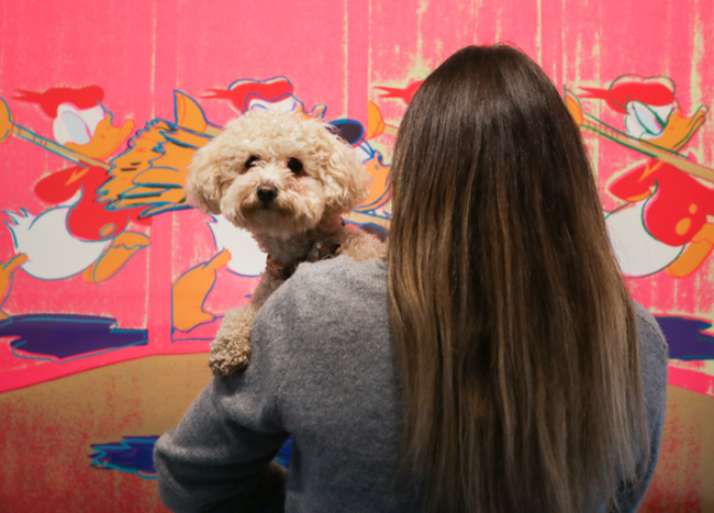 Warhol Exhibition 009