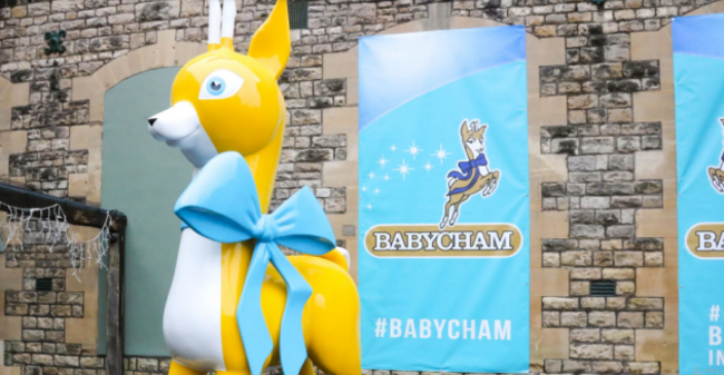 CHAMDEER