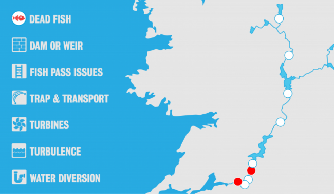 Map of the Shannon with markers for each of the barriers Noteworthy examined. Symbols depict various types of impacts on fish including: Fish deaths, dam or weir, fish pass issues, trap and transport, turbines, turbulence and water diversion. 