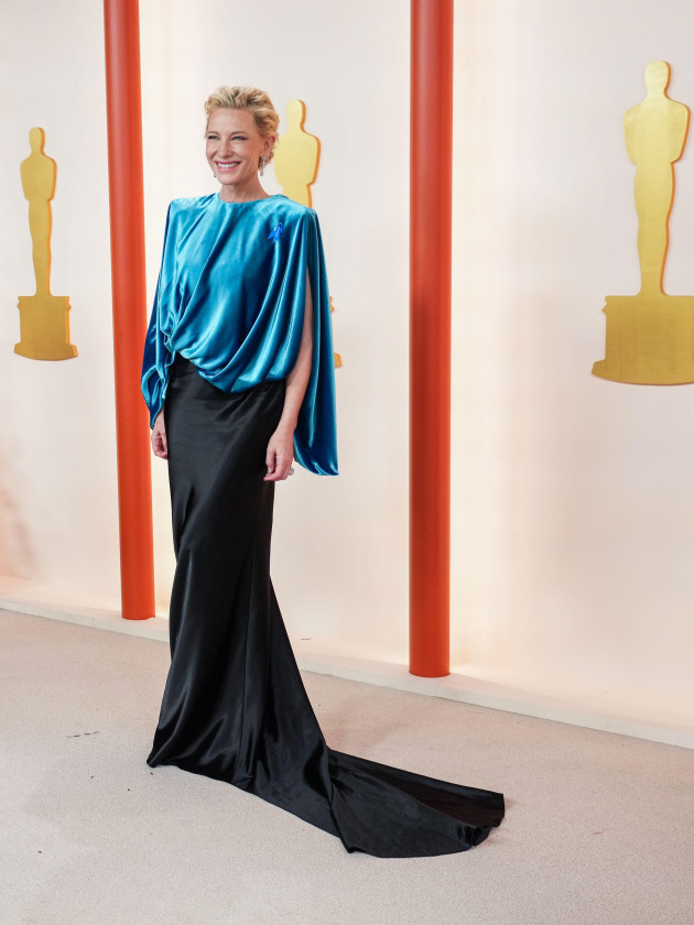 los-angeles-usa-12th-mar-2023-cate-blanchett-wearing-louis-vuitton-while-walking-on-the-red-carpet-at-the-95th-academy-awards-held-by-the-academy-of-motion-picture-arts-and-sciences-at-the-dolby-t