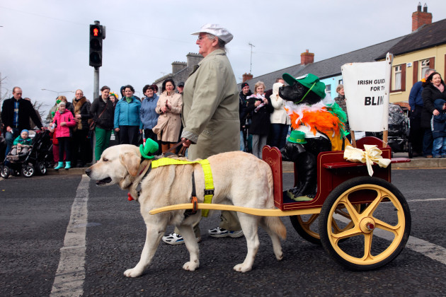 guide-dog-in-the-st-patricks-day-parade-in-carrickmacross-co-monaghan-ireland