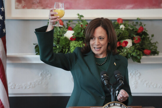 vice-president-kamala-harris-meets-with-irish-taoiseach-leo-varadkar