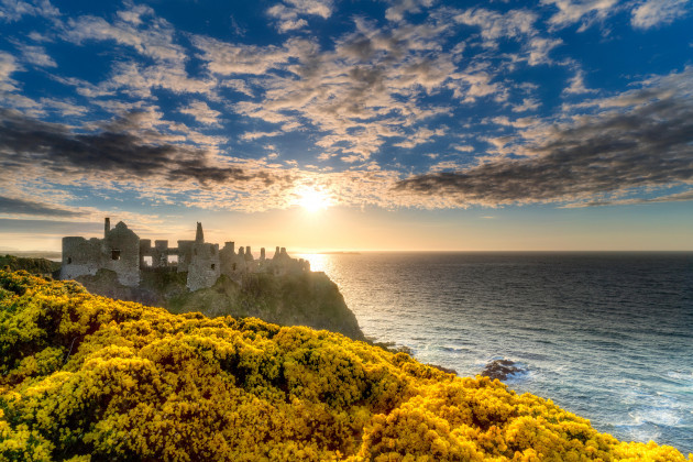 dunluce-castleat-sunset-with-blooming-gorse-northern-ireland