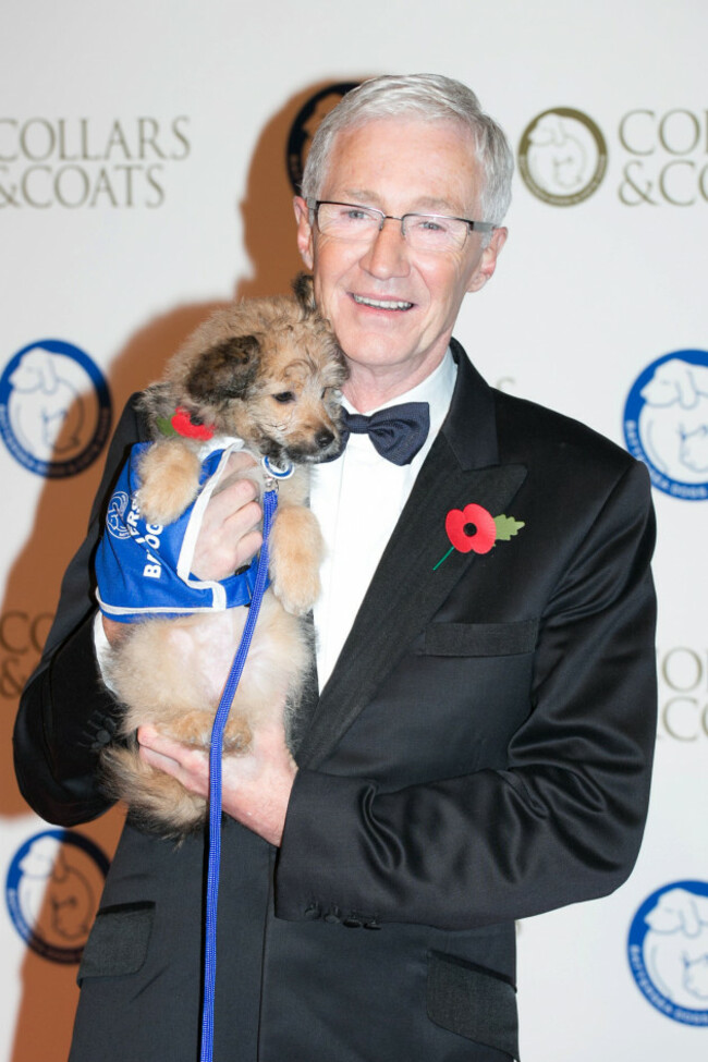 battersea-dogs-collars-and-coats-gala-ball-london