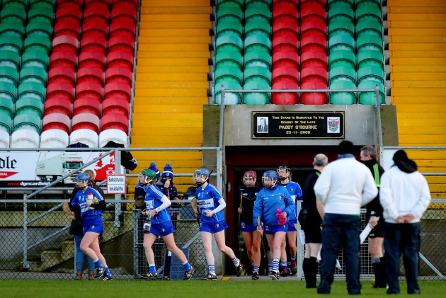 laois-make-their-way-out
