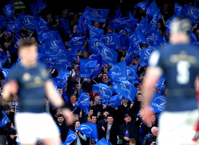 leinster-fans