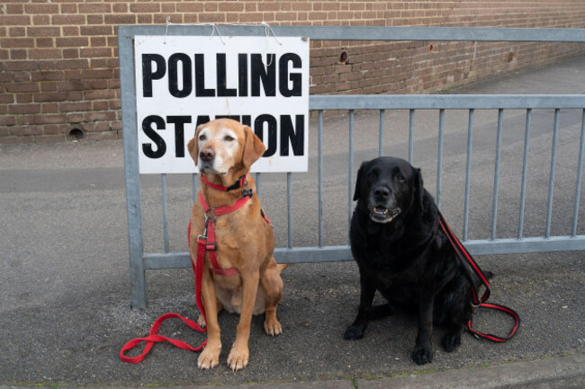 dedworth-windsor-berkshire-uk-4th-may-2023-two-dogs-wait-patiently-for-their-owners-at-a-polling-station-in-dedworth-windsor-berkshire-on-local-elections-day-credit-maureen-mcleanalamy-live