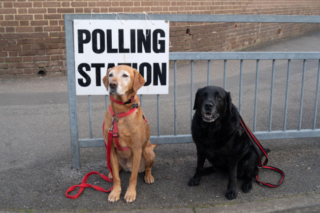 dedworth-windsor-berkshire-uk-4th-may-2023-two-dogs-wait-patiently-for-their-owners-at-a-polling-station-in-dedworth-windsor-berkshire-on-local-elections-day-credit-maureen-mcleanalamy-live