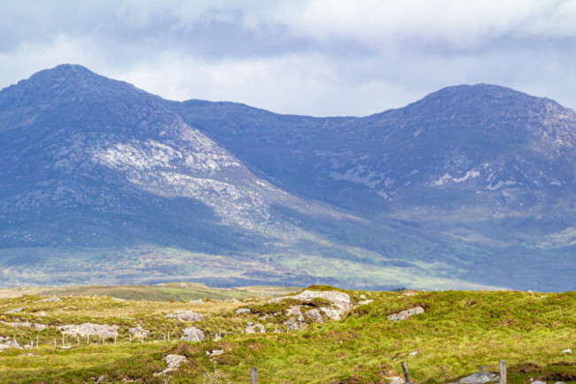 irishfieldwithgreengrassfencesandlimestonerockmountains