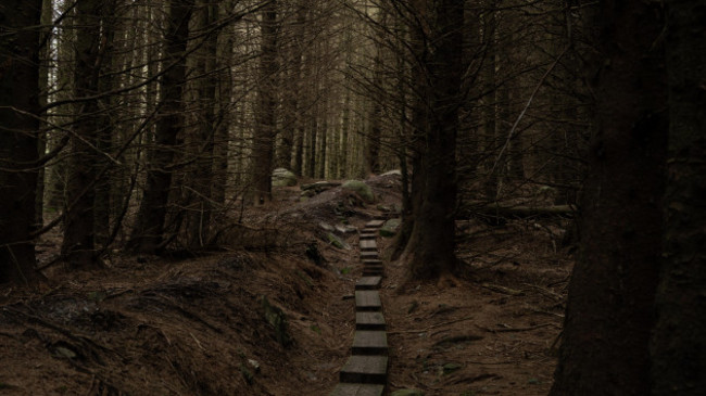nestledhighupinthewicklowmountainsareballinastoewoods