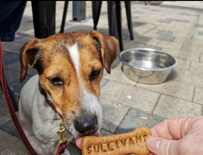 Screen Shot 2023-05-22 at 17.20.39