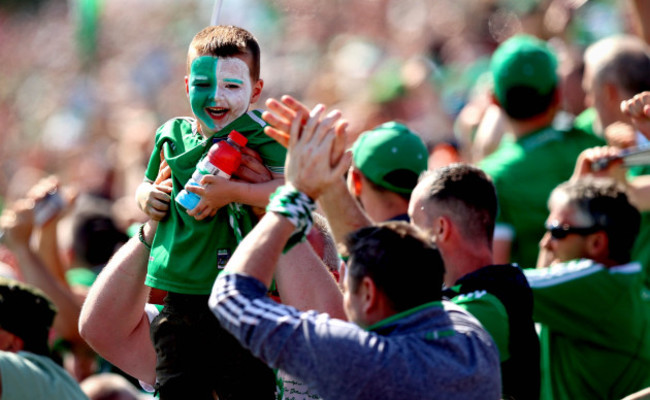 a-limerick-fan-celebrates-a-goal