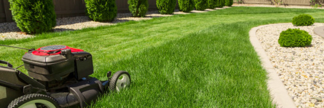 lawnmowerongreengrass