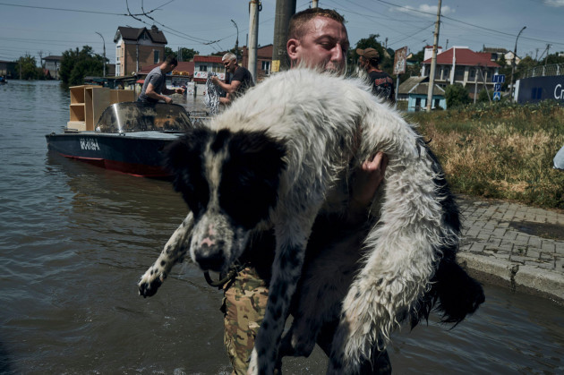 a-local-resident-carry-a-wet-dog-during-evacuation-from-a-flooded-neighborhood-in-kherson-ukraine-wednesday-june-7-2023-floodwaters-from-a-collapsed-dam-kept-rising-in-southern-ukraine-on-wednesd