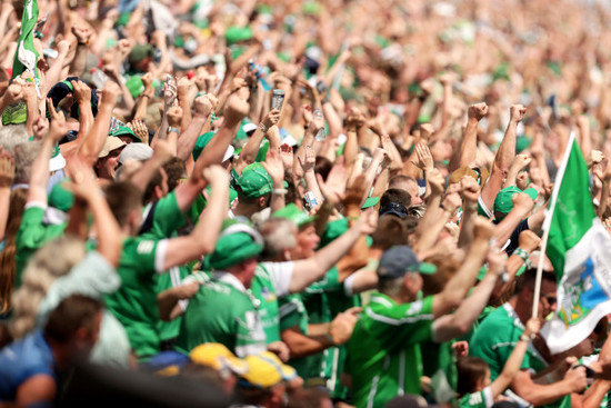 limerick-fans-celebrate-their-sides-first-goal