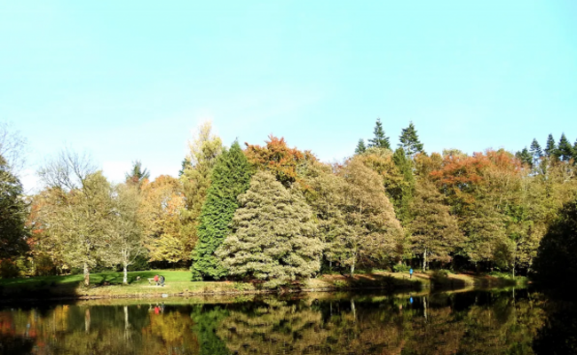 Screenshot 2023-06-12 at 09.01.33