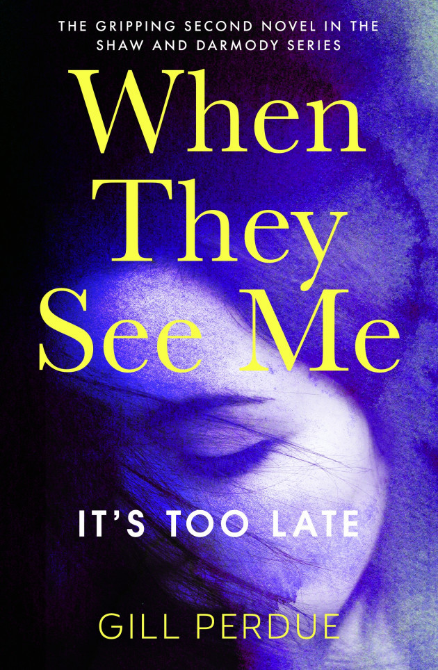 When They See Me_Book Jacket