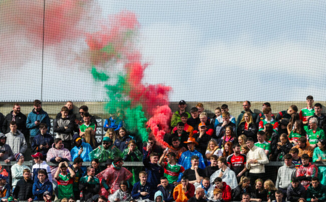 mayo-fans-during-the-game