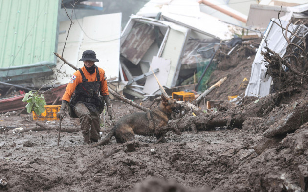 a-rescue-worker-with-a-dog-searches-for-people-at-the-site-of-a-landslide-caused-by-heavy-rain-in-yecheon-south-korea-sunday-july-16-2023-days-of-heavy-rain-triggered-flash-floods-and-landslides