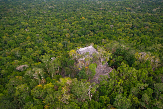 la-danta-complex-el-mirador-guatemala